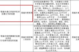 54个班2490人 清江新城旁新建清江民族学校获批图片