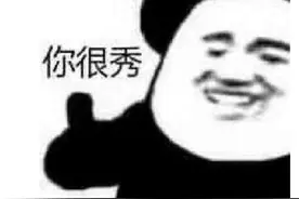 Steam97%好评游戏，竟是两个中国人做的？还被老外催进度图片