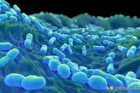 冰箱中产生的“李斯特菌”，感染可致脑膜炎，别忽视了图片