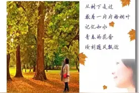 《一纵即逝》文/王正平 主播/洪声图片