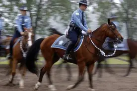 美国警察竟然“身骑白马”，马还被抢了图片