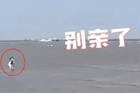 情侣上海沙滩边热吻不知涨潮，保安急得狂喊：“别！亲！了！”图片