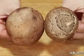 今天才知道，香菇不能和这2种食物一起吃，老菜农的经验，真实用图片