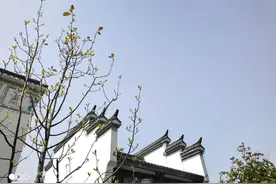 常德一日游图片