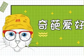 哈皮哈尼科普丨为什么毛孩子总是让铲屎官闻屁股？图片