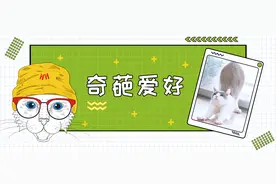 哈皮哈尼科普丨为什么毛孩子总是让铲屎官闻屁股？图片