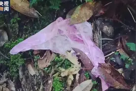 痛心！云南哀牢山4名野外作业失联人员遇难！名单公布图片