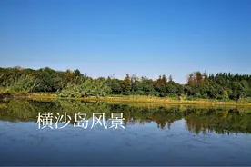 上海的养老宝地—横沙岛图片