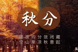 襄阳“官宣”入秋~阳光已在路上，美好的事物请耐心等待图片