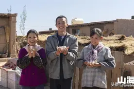 《山海情》的中双孢菇，是中国农村经济死循环的典型代表图片