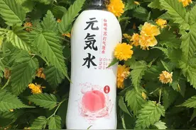 伪装日系饮料，五个月卖6亿瓶——起底元气森林今夏爆红幕后故事图片