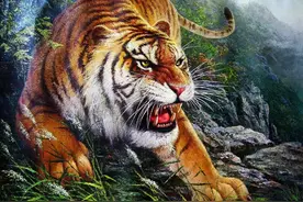 传世老虎名画是只“病猫”？故宫博物馆视若珍宝，专家：别光看虎图片