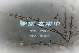 余光中的诗《等你 在雨中》图片
