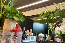 研究生的好胜心，都体现在工位上了图片