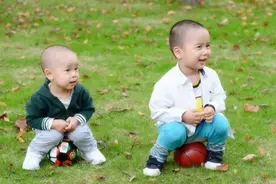 家庭中二胎都会比头胎聪明？答案并非如此，其实和几个方面有关系图片