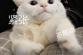 你知道老师眼中的答辩吗？学生在上面侃侃而谈，教师默默“看戏”图片