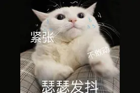 你知道老师眼中的答辩吗？学生在上面侃侃而谈，教师默默“看戏”图片