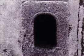 养狗也有道，很多人不知道怎么和狗相处，做错麻烦就大了图片