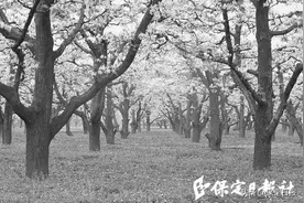 作为金元四大家之首，他开创中医学“寒凉派”，奠定中医养生基础刘守真，古城留下800年神医传说图片