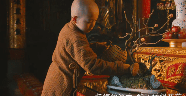 说说我这个“药罐子”喝中药这两年的曲折经历和感受图片