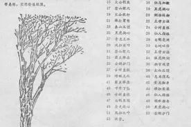 少林短棍---王西乾、刘振海图片