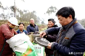 储存生活必需品！农产品销量或大幅提升，“猪坚强”会卷土重来？图片