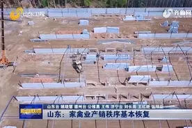德州肉鸡养殖规模恢复性增长　美盛源家庭农场500万元养殖项目开工建设图片