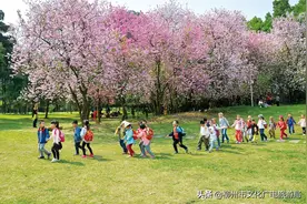 清明小长假我市共接待游客101.28万人次！踏青出游成主流！图片