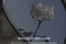 不要放低自己，爱你的人会主动找你图片