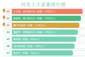 2019河北10大富豪排行榜图片