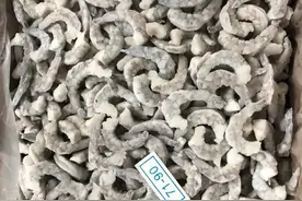 胶质塘虾仁价格上涨，越南原料紧缺图片