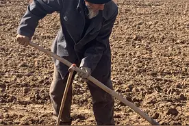 贫瘠的土地图片