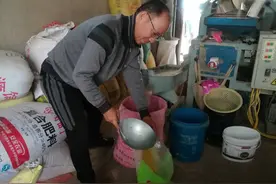 在农村购买了再生稻，然后亲自拉去加工成大米，又香又糯图片