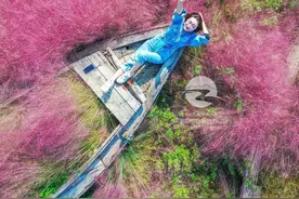 威海新晋“粉红秘境”藏着老船，还能听海！图片