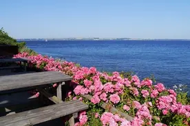 【诗词赏析】读给你听：《面朝大海，春暖花开》图片