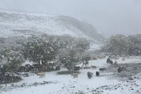 1816年，为什么这一年诡异的没有夏天，7月飞雪气候大变？图片