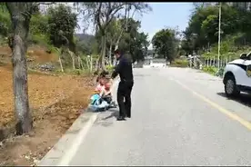 交警都吓坏了，两“熊孩子”骑玩具车开上公路图片