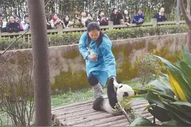 高端保姆年薪16万？网友感慨，优质保姆确实很受欢迎图片