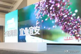 雅州英才｜招揽人才，雅安是认真的！图片