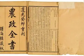 餐桌上的历史：探寻蔬菜和水果的故乡图片