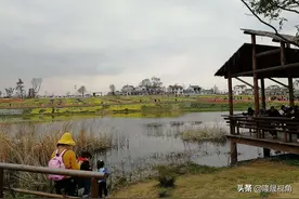 美丽乡村谷里，喜看徐家大院。走访乡村振兴张溪社区。图片
