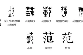 汉字探源：范是什么草及与笵和範的关系图片