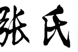 张氏宗族（出自家族力量）图片
