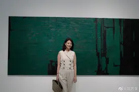 央视美女主持刘芳菲近照曝光，43岁仍体态优雅，风华不减当年图片