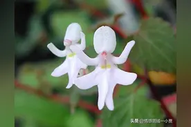 人教人，教不会，事教人，一次就够了图片