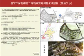 规划总户数2861户！普宁保利和府二期项目规划调整获批图片