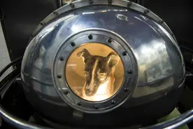 他是第一只登上太空的英雄狗，命运却很悲壮，至今仍漂浮在宇宙中图片