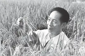 袁隆平：以稻济世，万古流芳图片