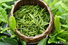 “青茶”和“绿茶”有啥区别？差别可不止一点，看完视频不再买错图片