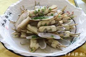 陈晓卿深夜造访宁波，来跟这种小海鲜说再见！传说它是龟兔赛跑后的爱情结晶……图片